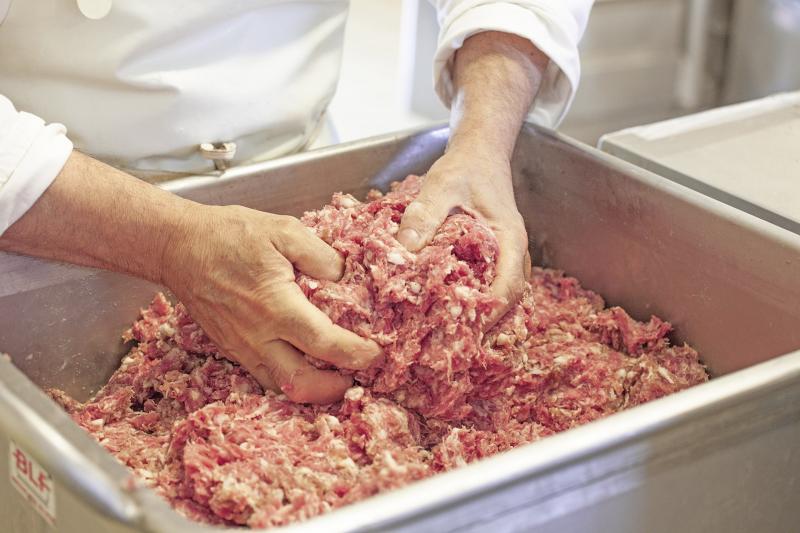 Squassoni salumi meat dough processing